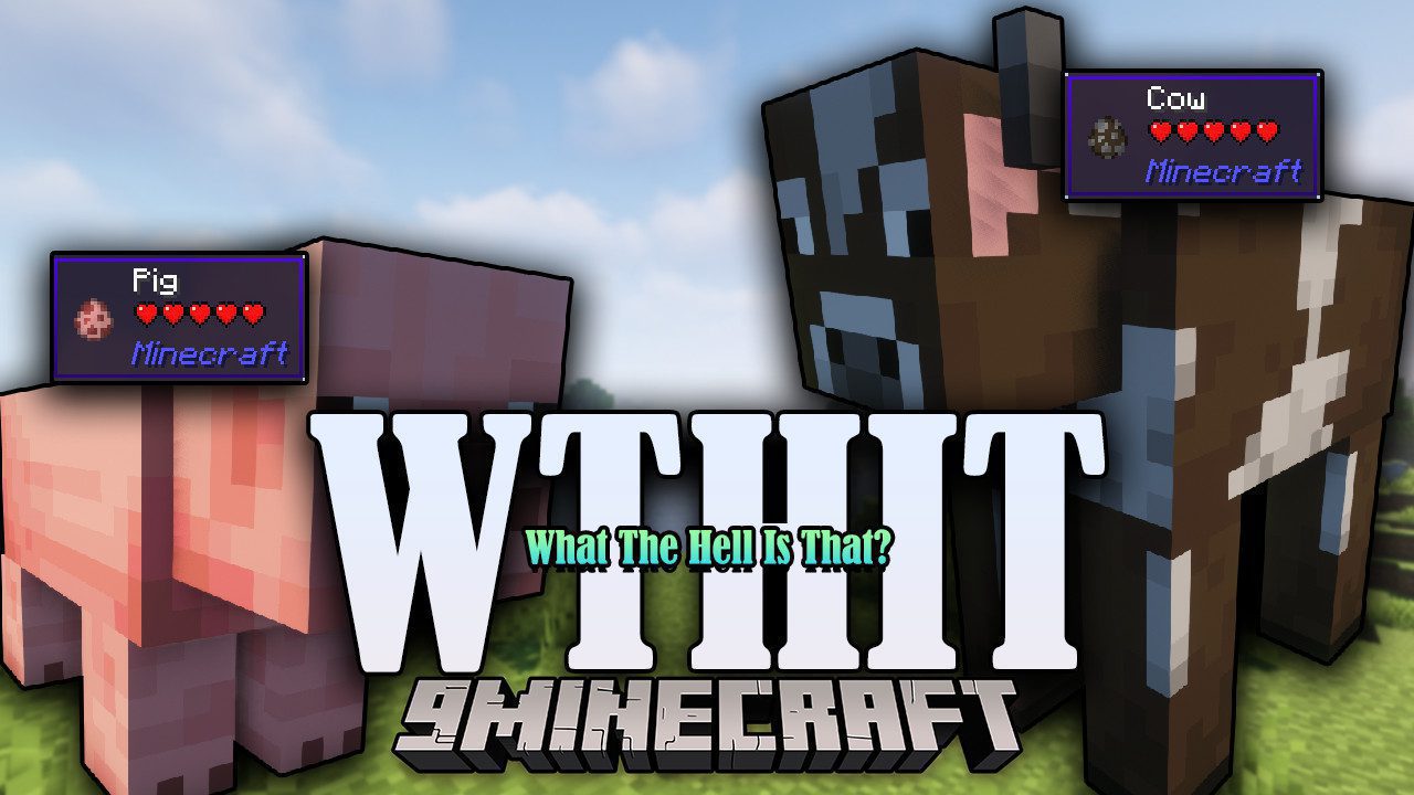 MINICRAFT 9