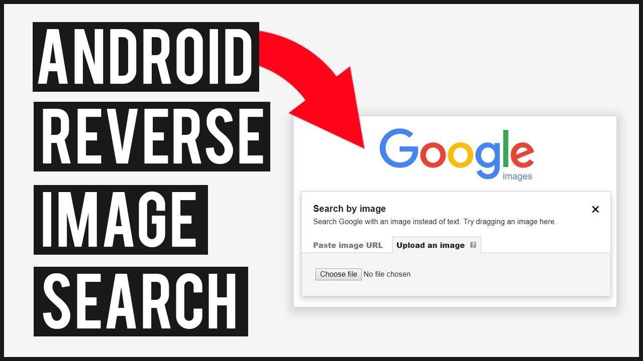 reverse image search